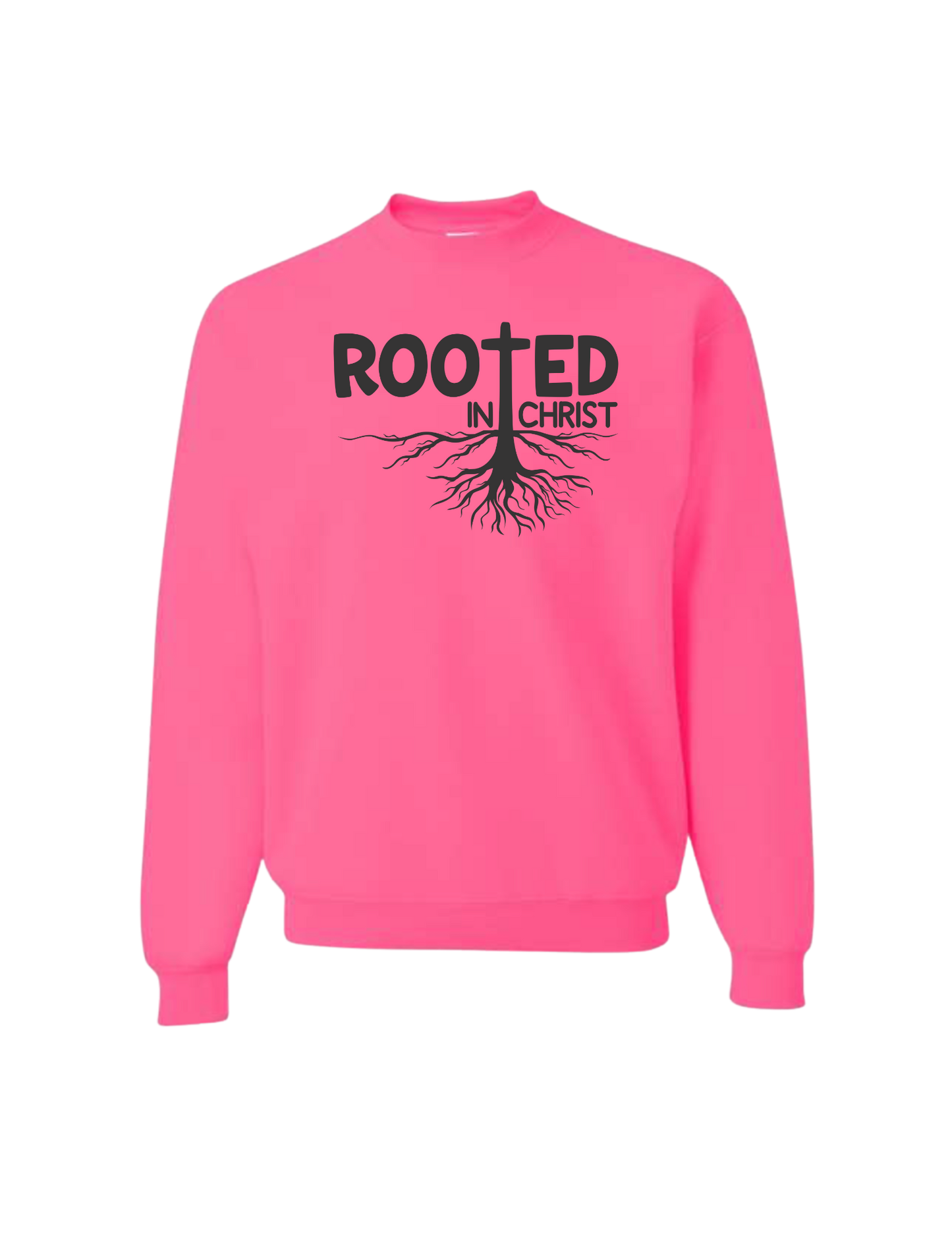Rooted in Christ