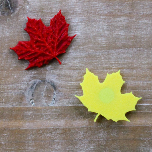 Fall Magnet Set