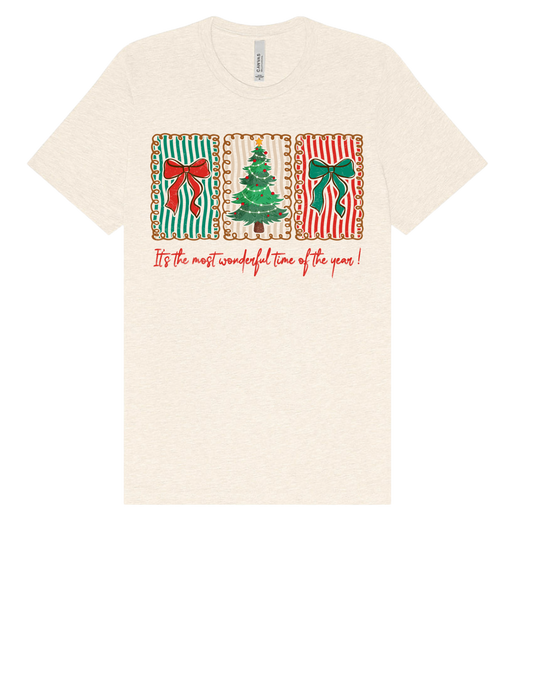 Most Wonderful Time of the Year T-shirt (Adult)