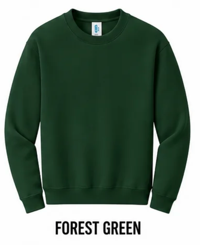 Zionsville Eagles Embroidered Sweatshirt (Appliqué)